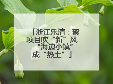 浙江乐清：聚项目吹“新”风 “海边小镇”成“热土”